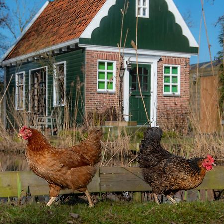 B&B Saense huisje Assendelft Buitenkant foto