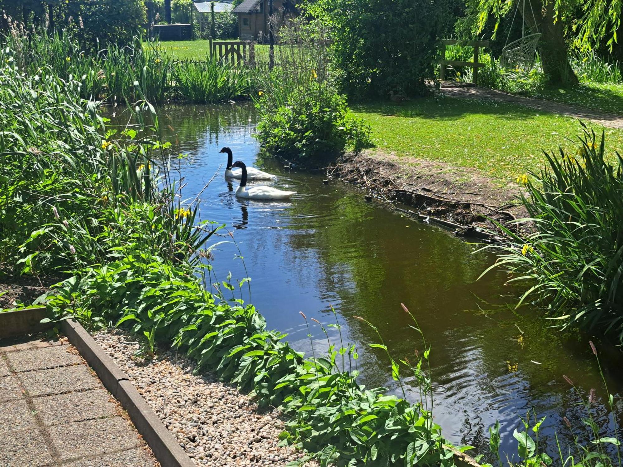 B&B Saense huisje Assendelft Buitenkant foto