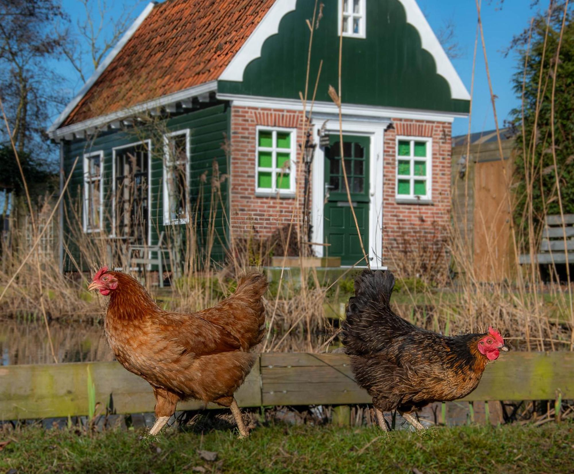 B&B Saense huisje Assendelft Buitenkant foto